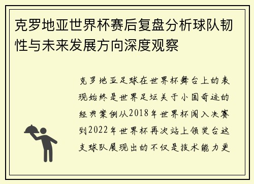 克罗地亚世界杯赛后复盘分析球队韧性与未来发展方向深度观察